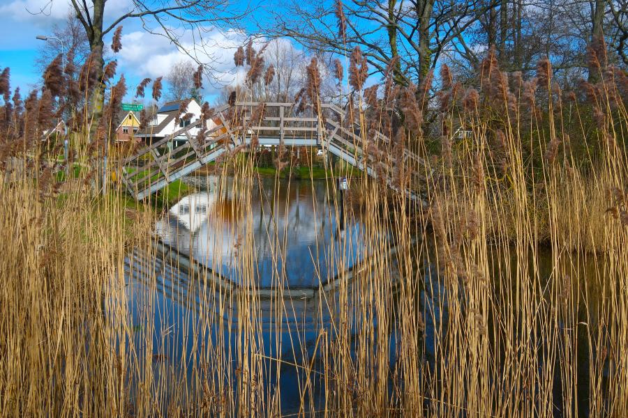 Het leven is een opdracht.