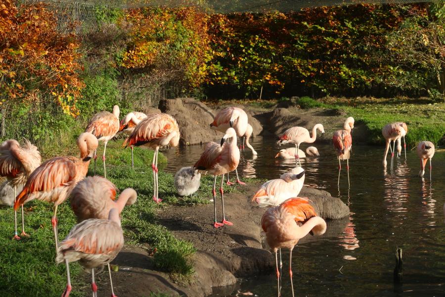 Haiku van 14 december...