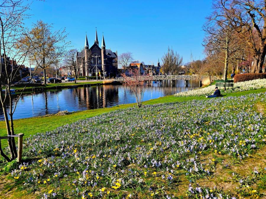 Haiku van 24 maart...