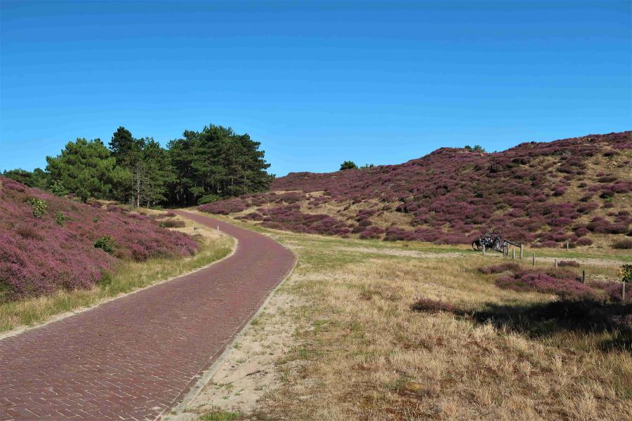 Meditatie: Onze Vader en Chakra's