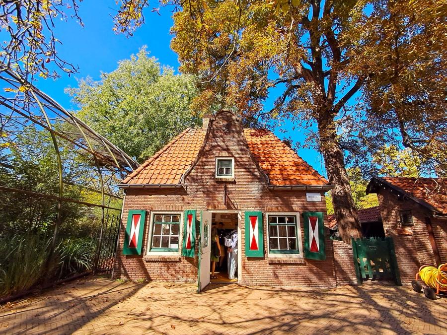 Haiku van 19 maart...