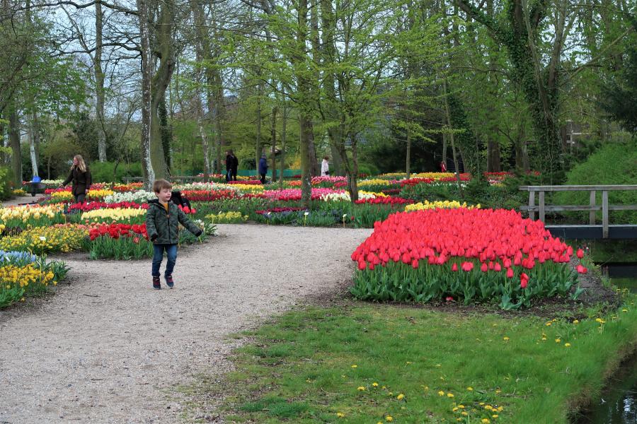 Haiku van 28 maart...