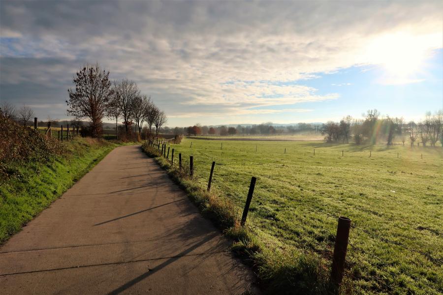 Haiku van 4 februari...