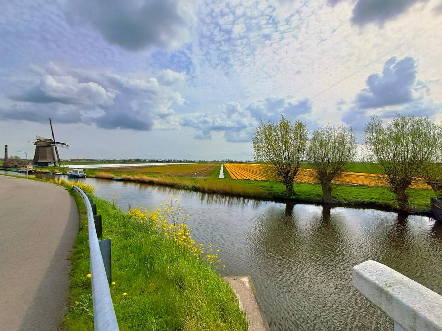 Haiku van 4 mei...