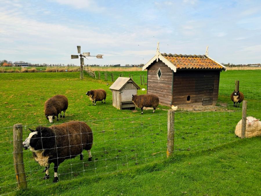 Haiku van 21 april...