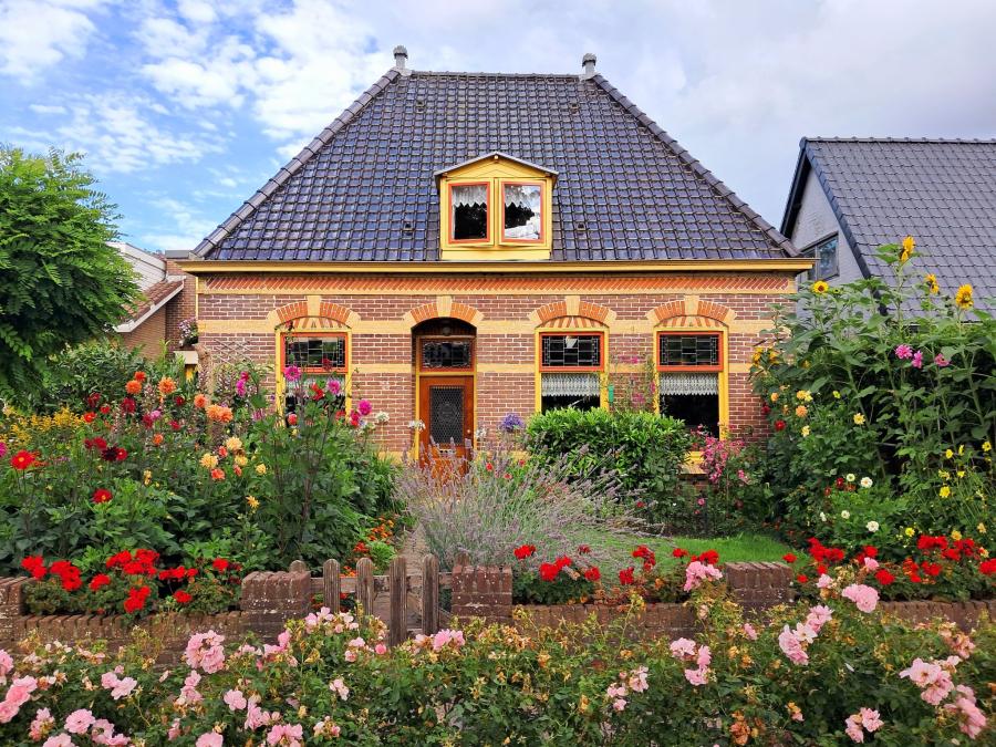 Haiku van 28 oktober...