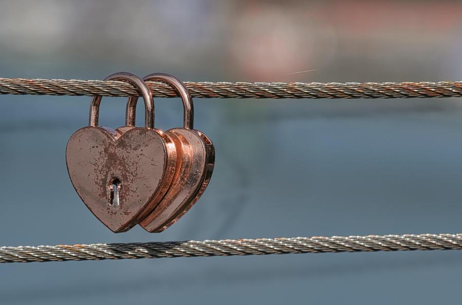 Haiku van 28 februari...