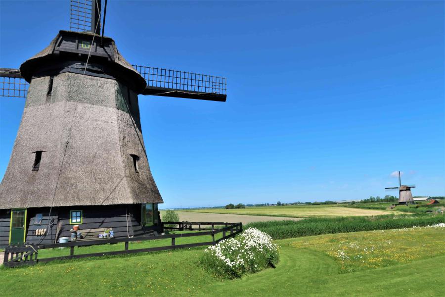 Haiku van 4 mei...