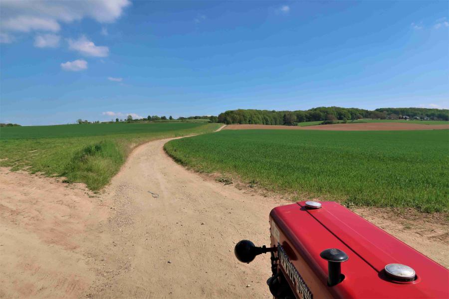 Meditatie: De Weg