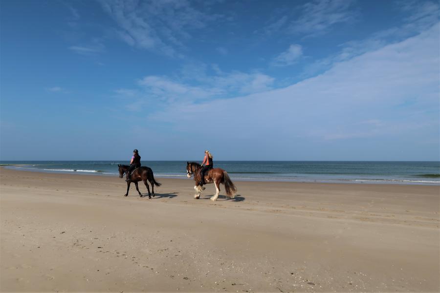 Haiku van 12 februari...