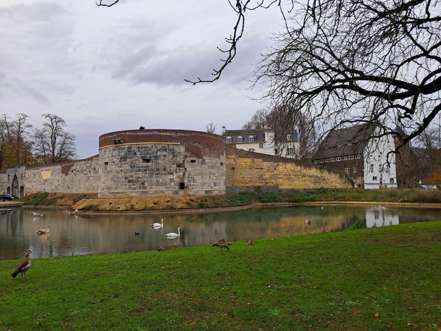 Haiku van 22 november...