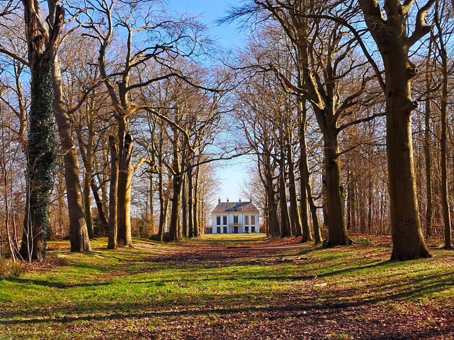 Haiku van 29 januari...