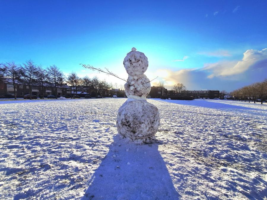Haiku van 15 januari...
