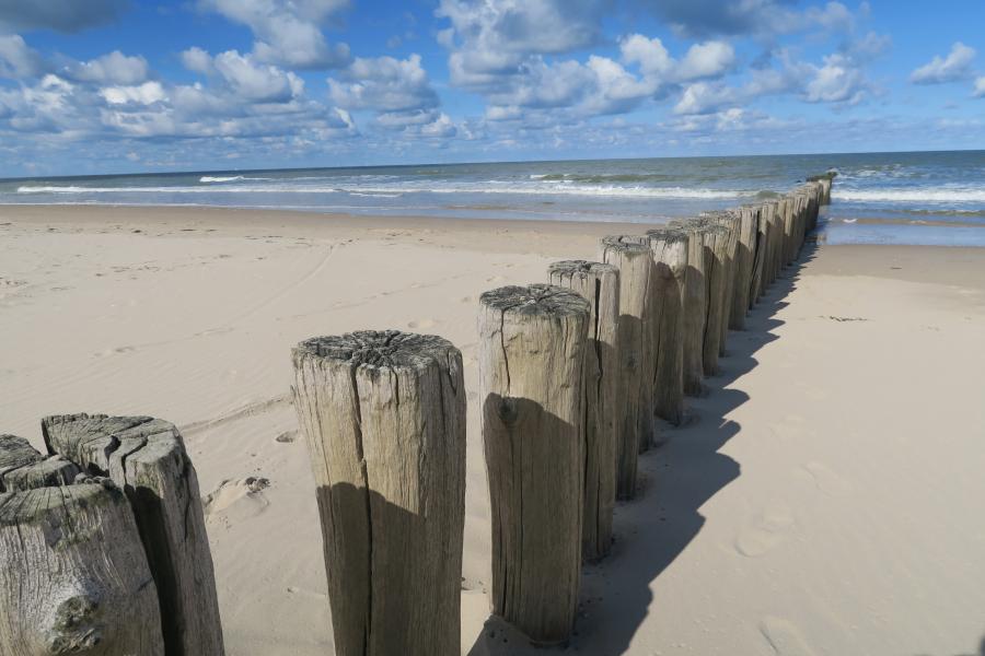 Haiku van 12 maart...