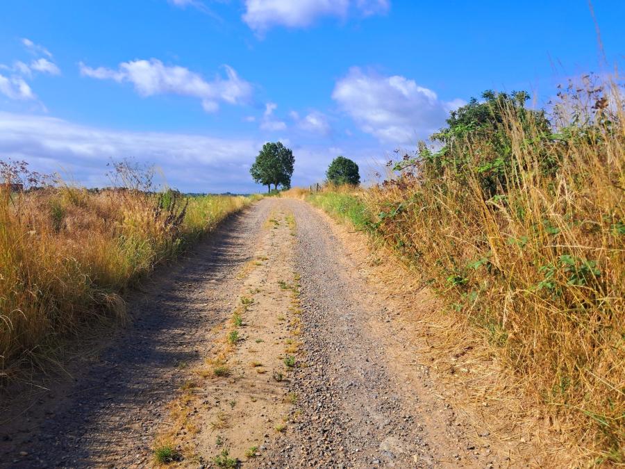 Een les die mij frappeert