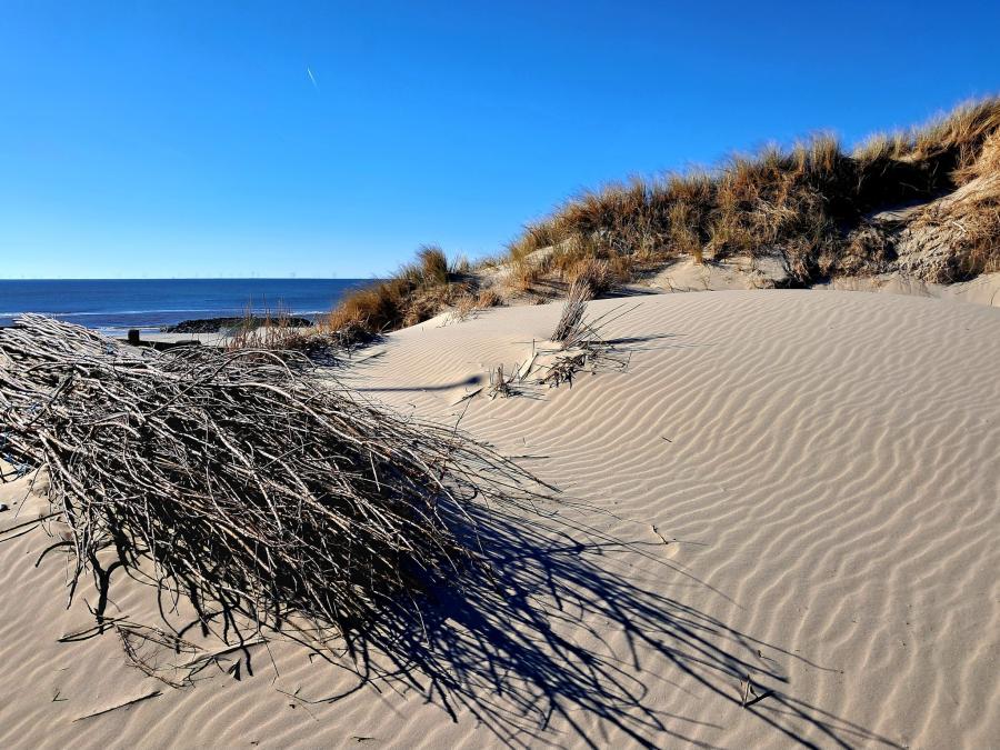 Haiku van 29 maart...