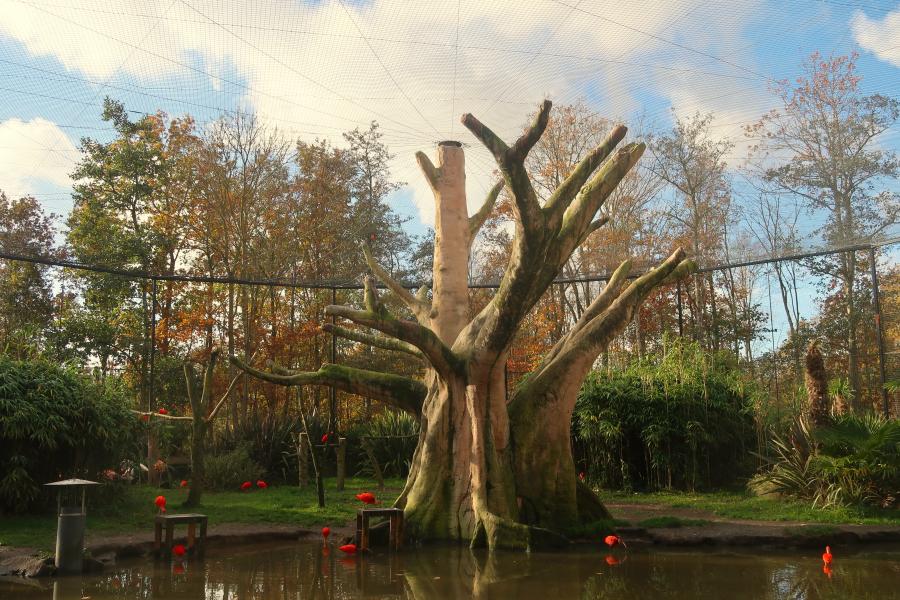 Haiku van 4 januari..