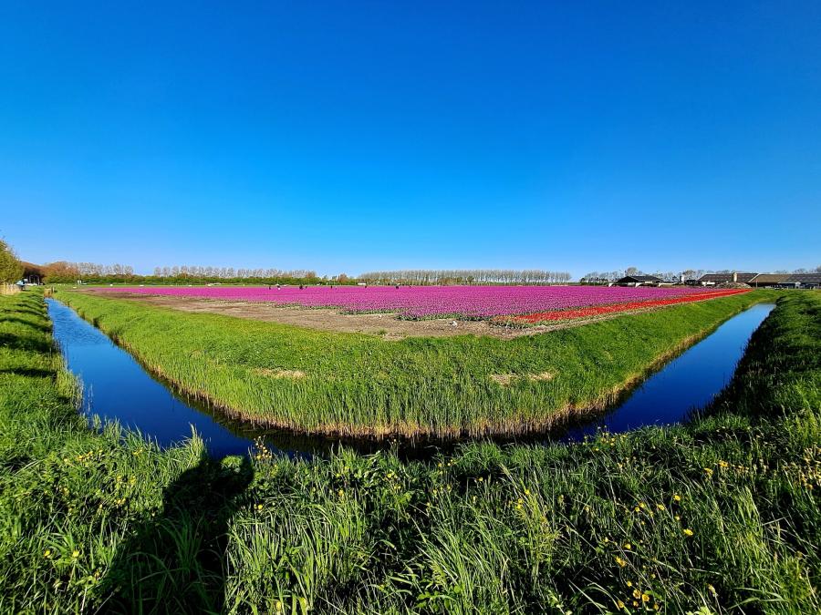 Haiku van 18 mei...