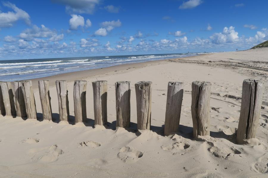 Haiku van 26 juli...